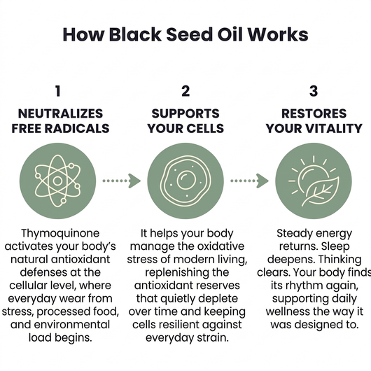 Black Seed Oil